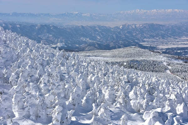 冬の蔵王はこう楽しむ！山形・蔵王の見どころ4選＆周辺のおすすめ観光スポット4選