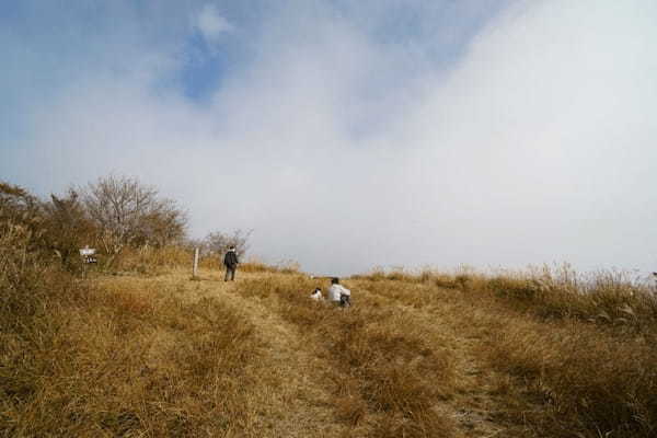 【神奈川・矢倉岳】神が宿る山で低山登山を楽しむ1.jpg