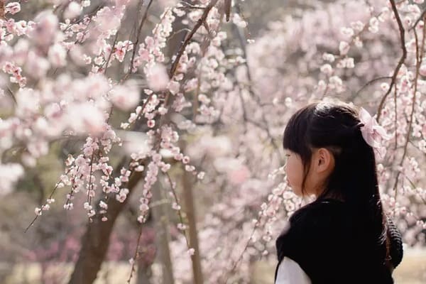 プロカメラマンが教える子ども×桜写真の撮り方。子どもと一緒に季節を楽しもう！