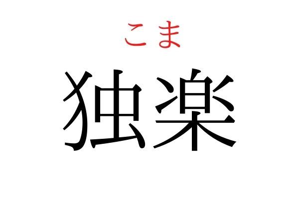 読めないと恥ずかしい？！「独楽」の読み方