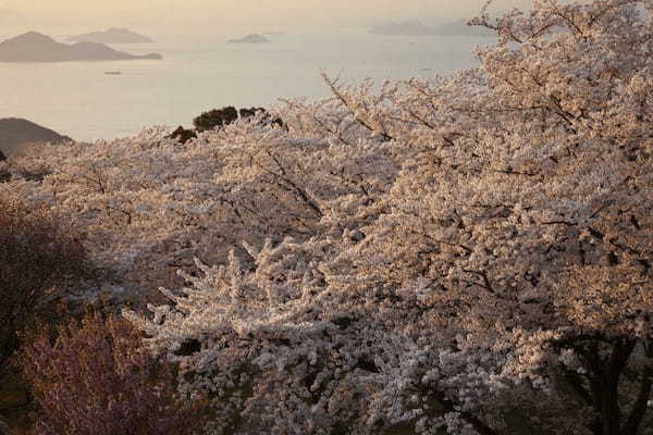 秘密にしたいほど美しい！瀬戸内海を見晴らす絶景・香川「紫雲出山（しうでやま）」1.jpg