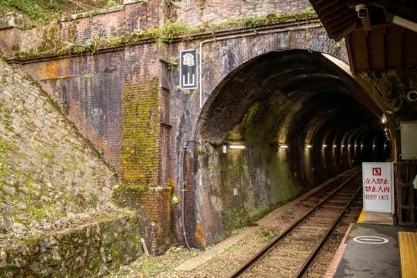 渡月橋に竹林の道・天龍寺も！京都・嵐山観光おすすめモデルコース