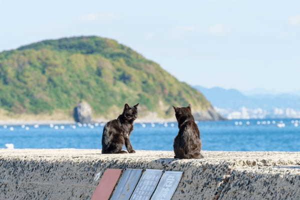 九州の離島15選！観光・旅行におすすめの離島特集1.jpg