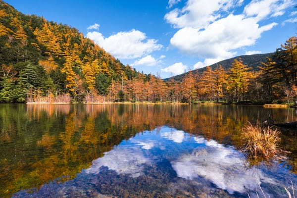 「神降地」とも称される神秘の上高地・明神池へのハイキングを楽しもう