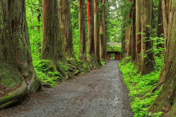 門の向こうは神々の世界！？神秘的なパワースポット戸隠神社奥社！1.jpg