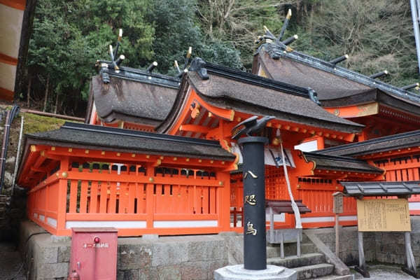 【和歌山】巡礼の地、熊野・那智で歩いて巡る世界遺産