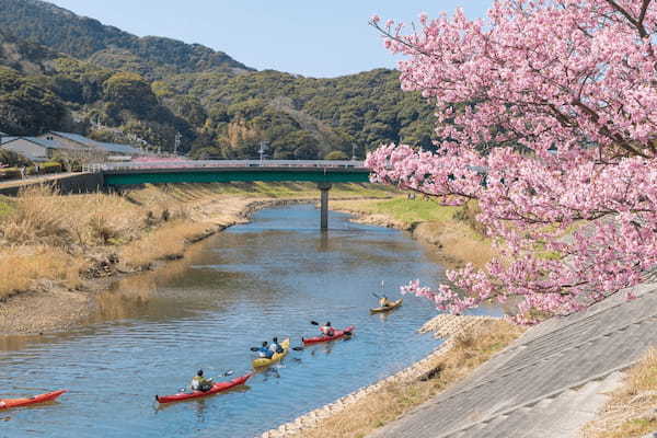 川の流れに乗ってとびっきりのお花見体験！南伊豆で楽しむ絶景カヤックツアーが最高に気持ちいい