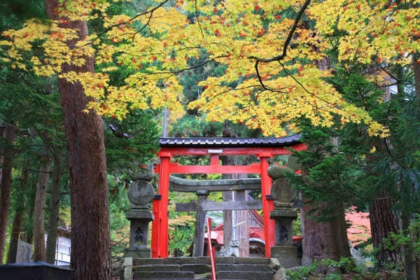 【青森】黒石の人気紅葉スポット中野もみじ山