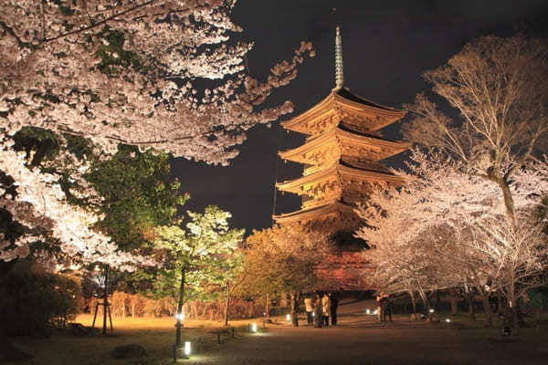 京都でおすすめの寺・神社49選！観光客に人気＆世界遺産の寺社リスト