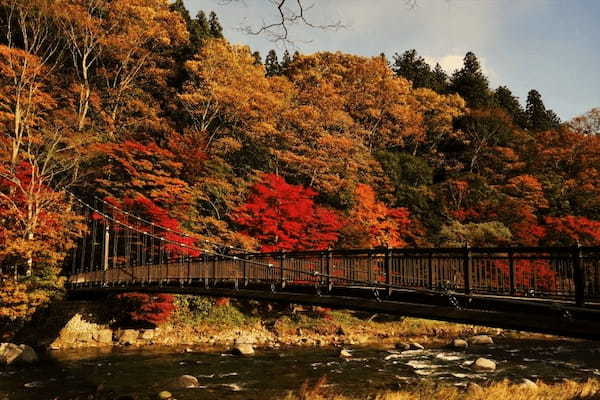 塩原温泉郷いで湯満喫の紅葉ドライブ【栃木】