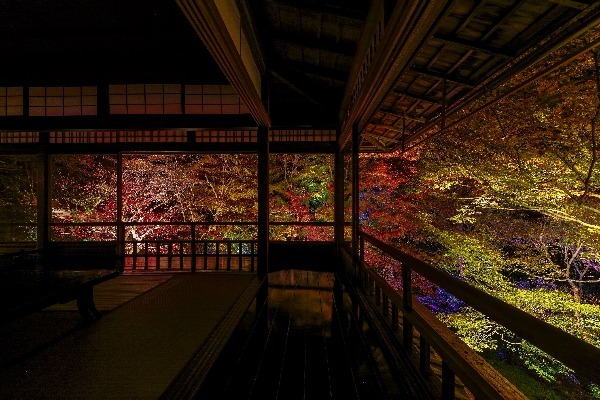 ケーブルカーに乗って登山気分！ライトアップされた夜の寺院で特別な紅葉狩りを楽しもう【京都】