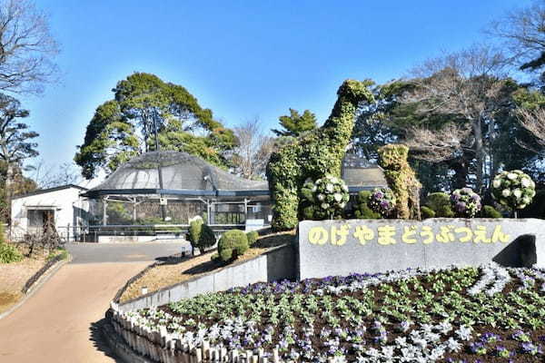 【横浜】人気動物園ランキングTOP4！