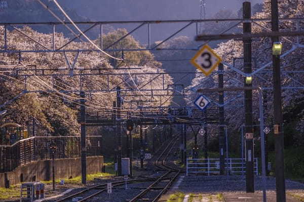 神奈川県で田舎暮らし！神奈川県のメリットデメリットやおすすめの自治体について紹介