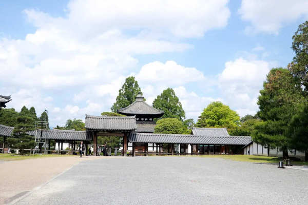 青もみじってこんなに美しいのか…　京都・東福寺に出現した「緑の海」に感激