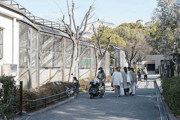 【ここでしか会えない動物たちも！】天王寺動物園でかわいい動物たちに癒される