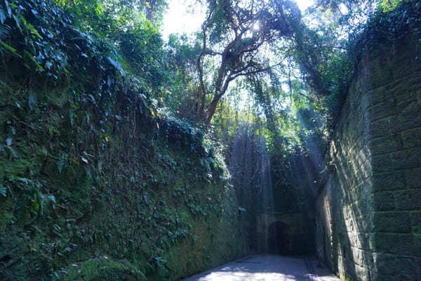 【神奈川県・横須賀市】冬の無人島・猿島への非日常体験のひとり女子旅へ♪