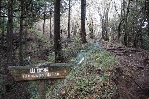 【神奈川・矢倉岳】神が宿る山で低山登山を楽しむ1.jpg