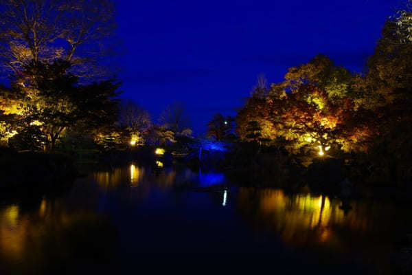 【群馬県】国指定名勝「桜山公園」を包み込む紅葉ライトアップと冬桜のコラボを見に行こう