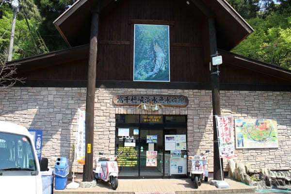 九州の人気水族館TOP8！旅行好きが行っている水族館ランキング