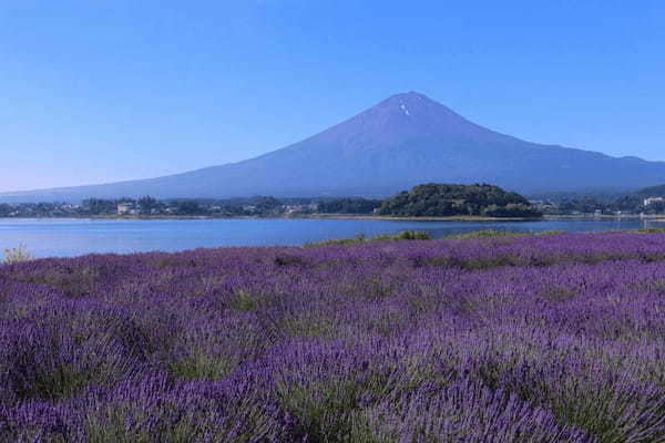 富士山とグルメを堪能！河口湖・山中湖周辺のおすすめスポット15選1.jpg