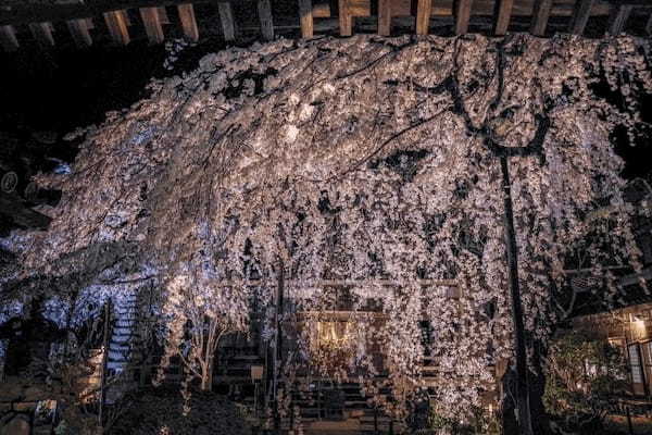 香芝市周辺のケーキ屋おすすめ13選！誕生日や手土産に人気な名店も！