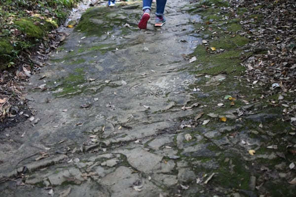 日本とは思えない！まるで古代遺跡みたいな山【神奈川・鷹取山】