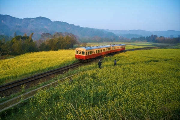 全国のおすすめ花畑85選！一面に絶景が広がる花の名所ガイド