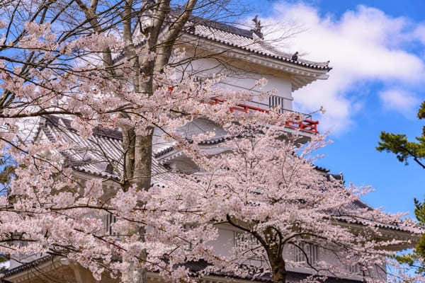 千秋公園にセリオン、赤れんが郷土館も！秋田市内1日観光おすすめモデルコース【秋田】