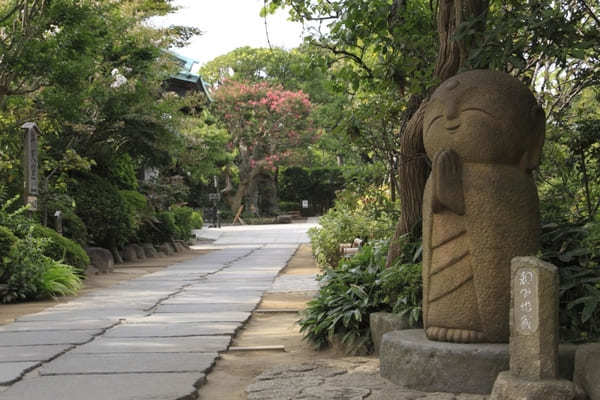 見どころいっぱい！鎌倉随一の楽しいお寺「長谷寺」を徹底ガイド