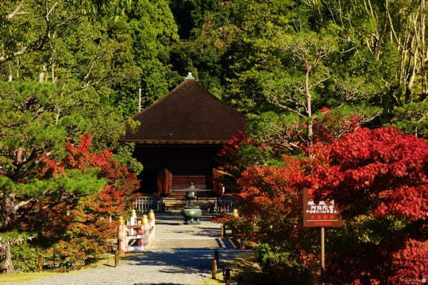 秋の白水阿弥陀堂は雅で幽玄の世界【福島】