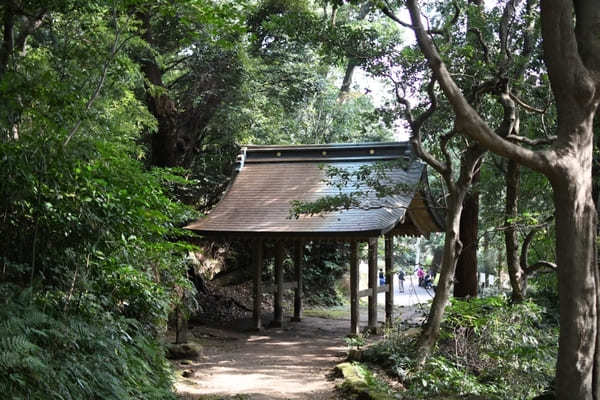 日本とは思えない！まるで古代遺跡みたいな山【神奈川・鷹取山】