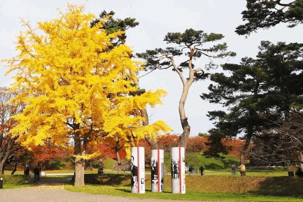 函館・五稜郭公園は歴史も楽しめる散策スポット　開放感抜群の景色が最高