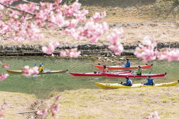 川の流れに乗ってとびっきりのお花見体験！南伊豆で楽しむ絶景カヤックツアーが最高に気持ちいい