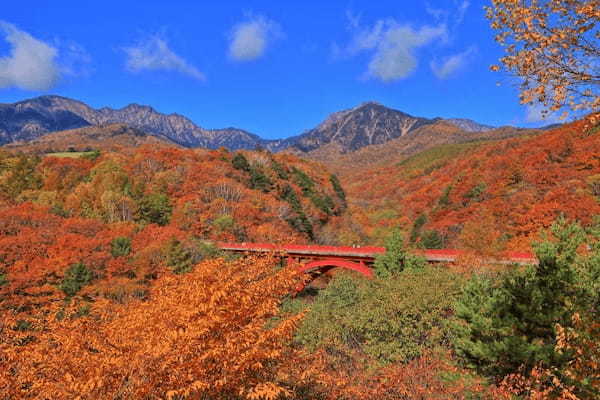 八ヶ岳を彩る絶景紅葉に感動！山梨「東沢大橋」と「富士見平展望台」