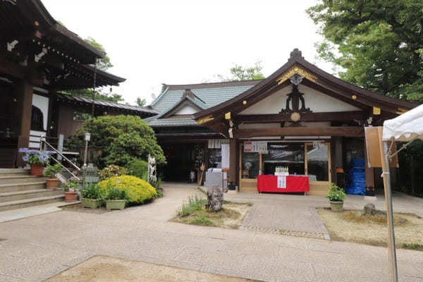 【茨城】山肌に1万株の紫陽花！二本松寺の見どころ7選