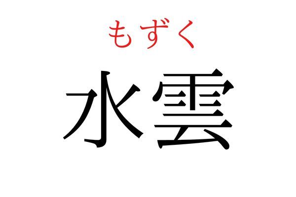 【読めたらすごい】「水雲」何て読む？