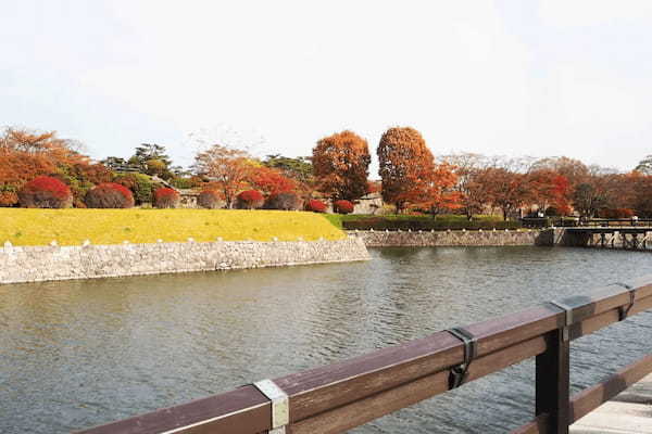 函館・五稜郭公園は歴史も楽しめる散策スポット　開放感抜群の景色が最高