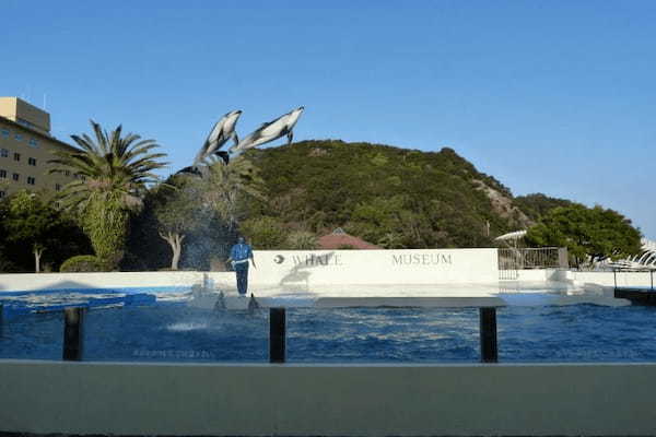 イルカやクジラと触れあい学べる・和歌山【太地町立くじらの博物館】1.jpg