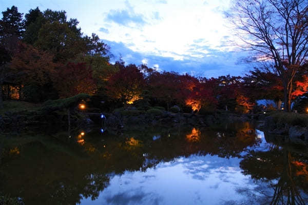 【群馬県】国指定名勝「桜山公園」を包み込む紅葉ライトアップと冬桜のコラボを見に行こう