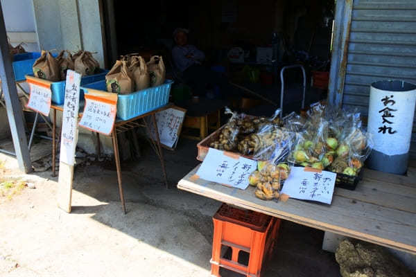 【奈良】一言で願ったら何でも叶う！葛城一言主神社と御所市おすすめスポット