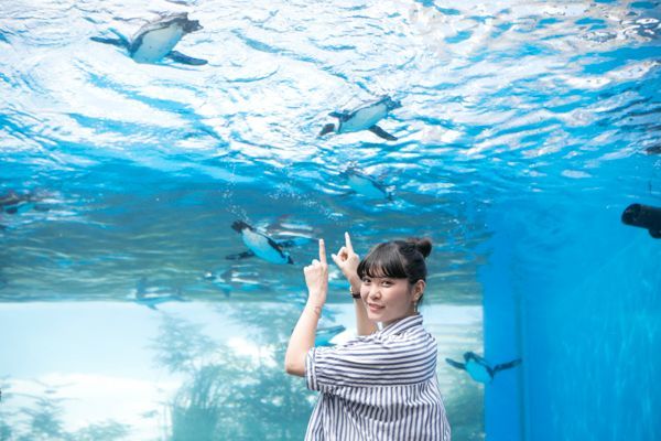 サンシャイン水族館・展望台のおすすめポイント！