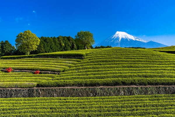 静岡・富士山の絶景スポット11選！富士山がよく見えるおすすめの場所まとめ1.jpg