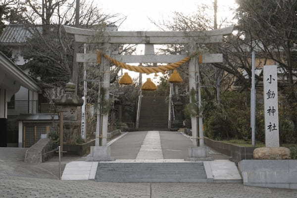 【神奈川・小動神社】神様が大歓迎してくれる神秘的な神社1.jpg