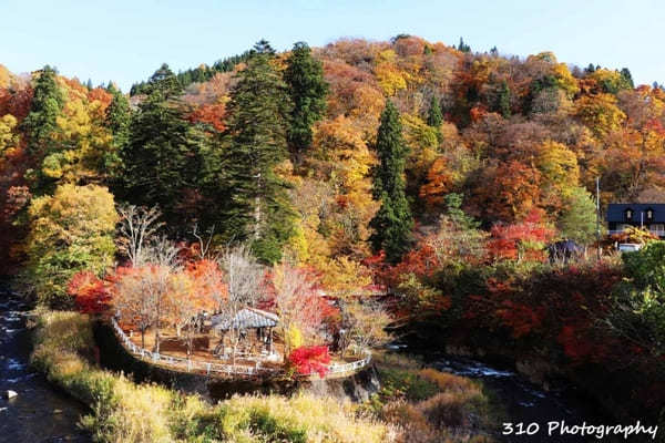 【青森】黒石の人気紅葉スポット中野もみじ山