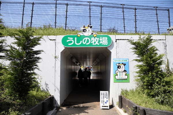 かわいい動物たちとのふれあいがいっぱい！ 一日中思いっきり遊べる「マザー牧場」に行こう