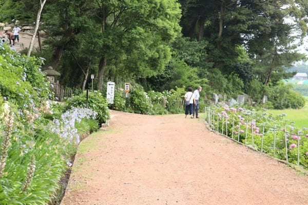 【茨城】山肌に1万株の紫陽花！二本松寺の見どころ7選