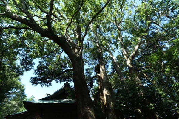 【千葉】発酵づくしの空間！神崎町の酒蔵・寺田本家とカフェうふふ