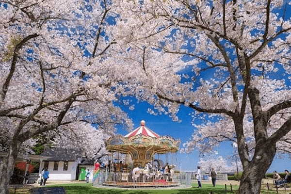 「天橋立ビューランド」で日本三景の絶景と遊園地をたっぷり満喫