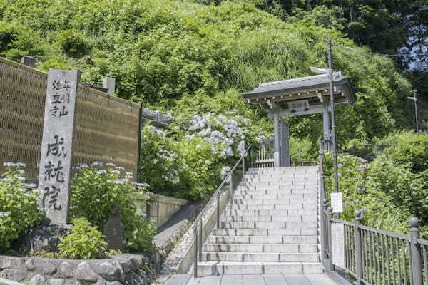 神奈川の人気の神社・お寺TOP20！旅行好きが行っている寺社ランキング1.jpg