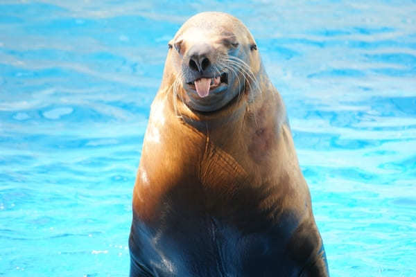 東海の人気水族館TOP16！みんなが行っている水族館ランキング